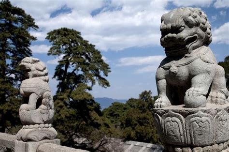 廟前石獅子公母|古代大門前的「石獅子」為何左右不一樣？